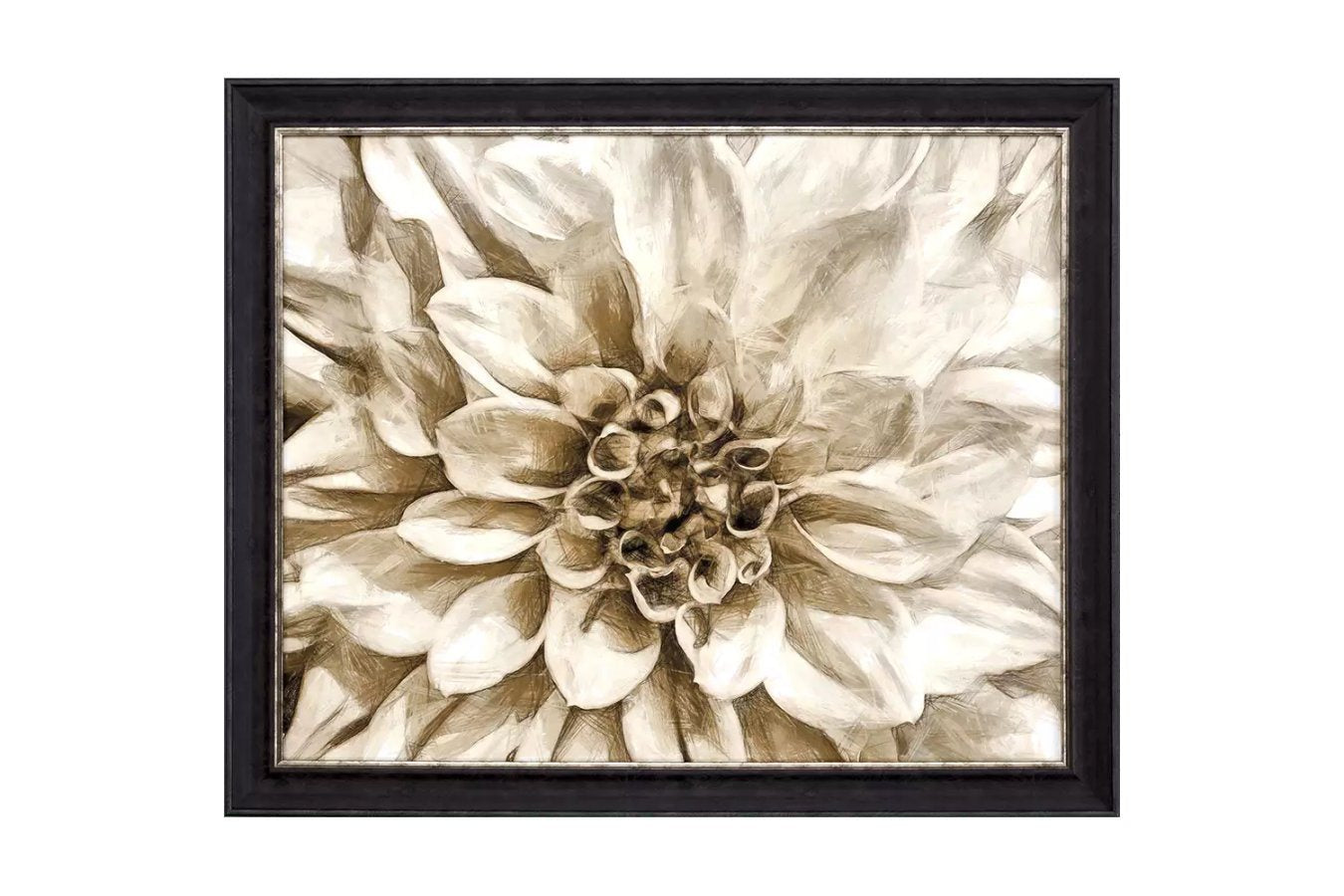 Wall Flower I
