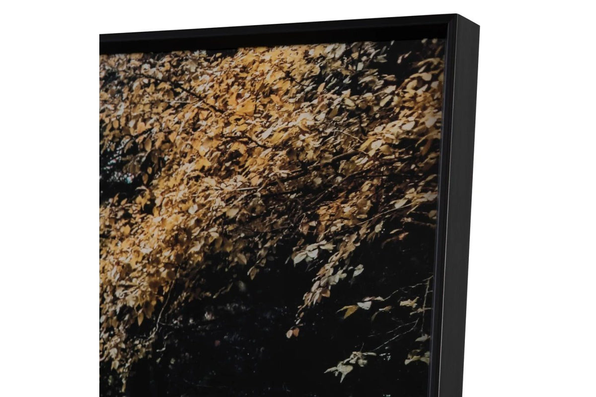 Autumn Tracks Tempered Glass Print