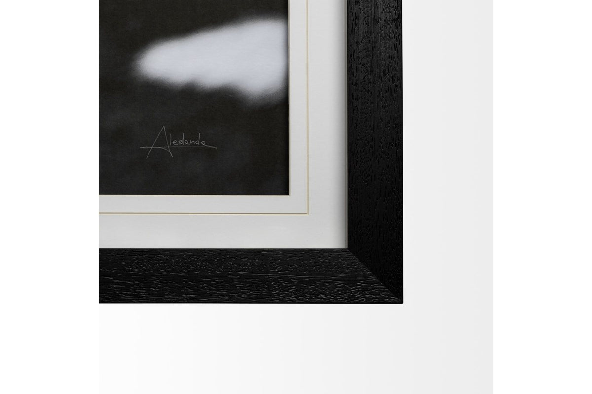 Flirt Framed Art