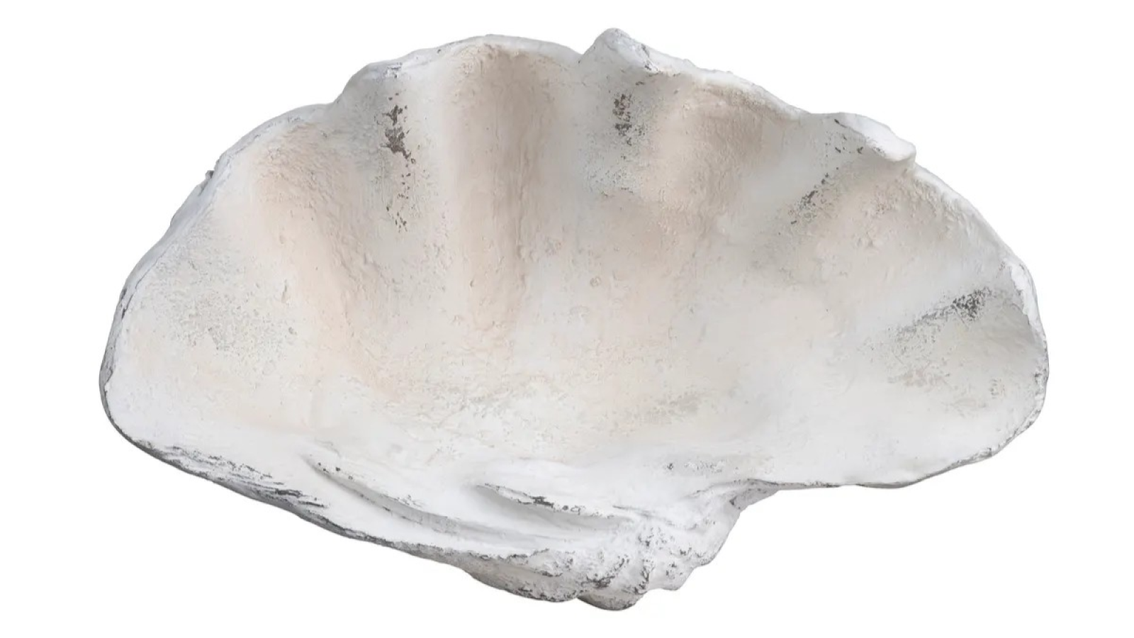 Henley Shell Sculpture