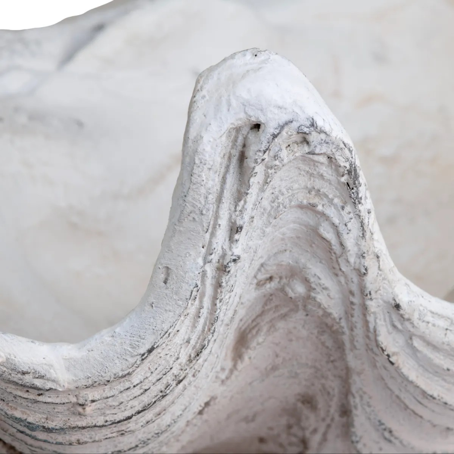 Henley Shell Sculpture