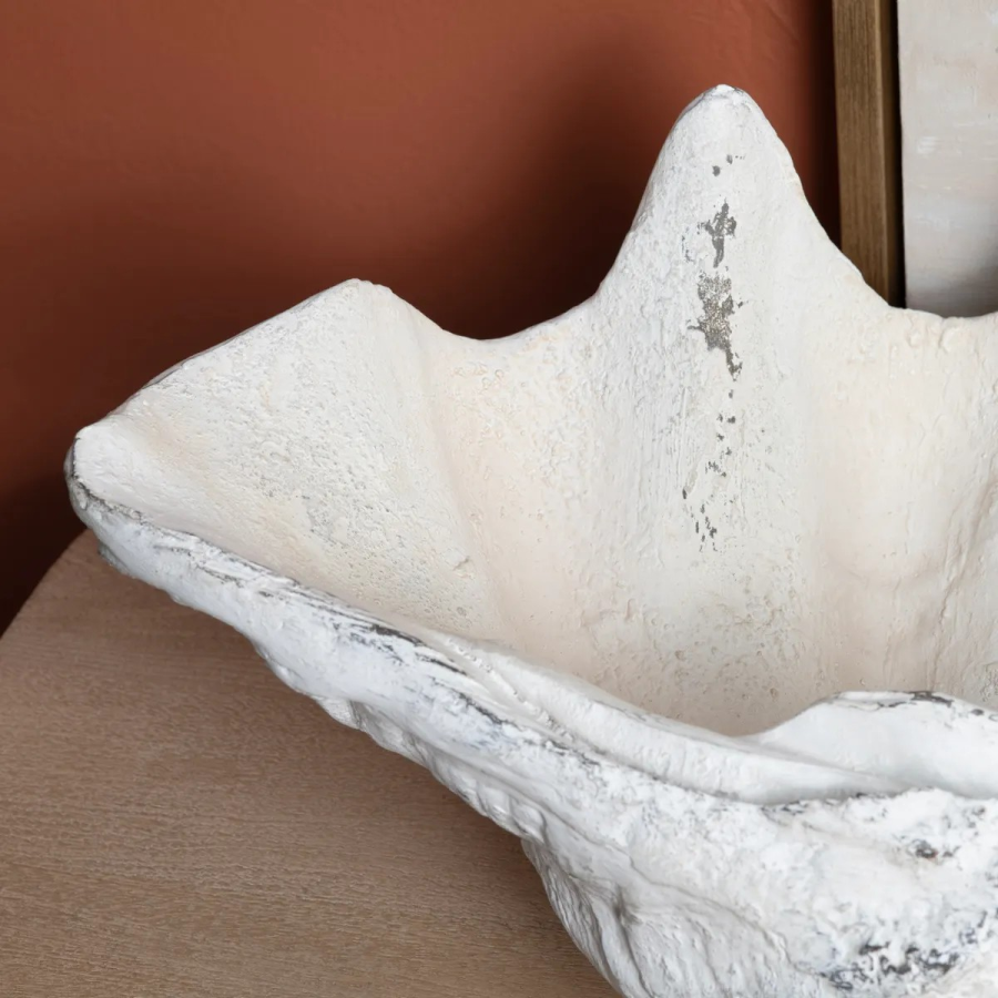 Henley Shell Sculpture
