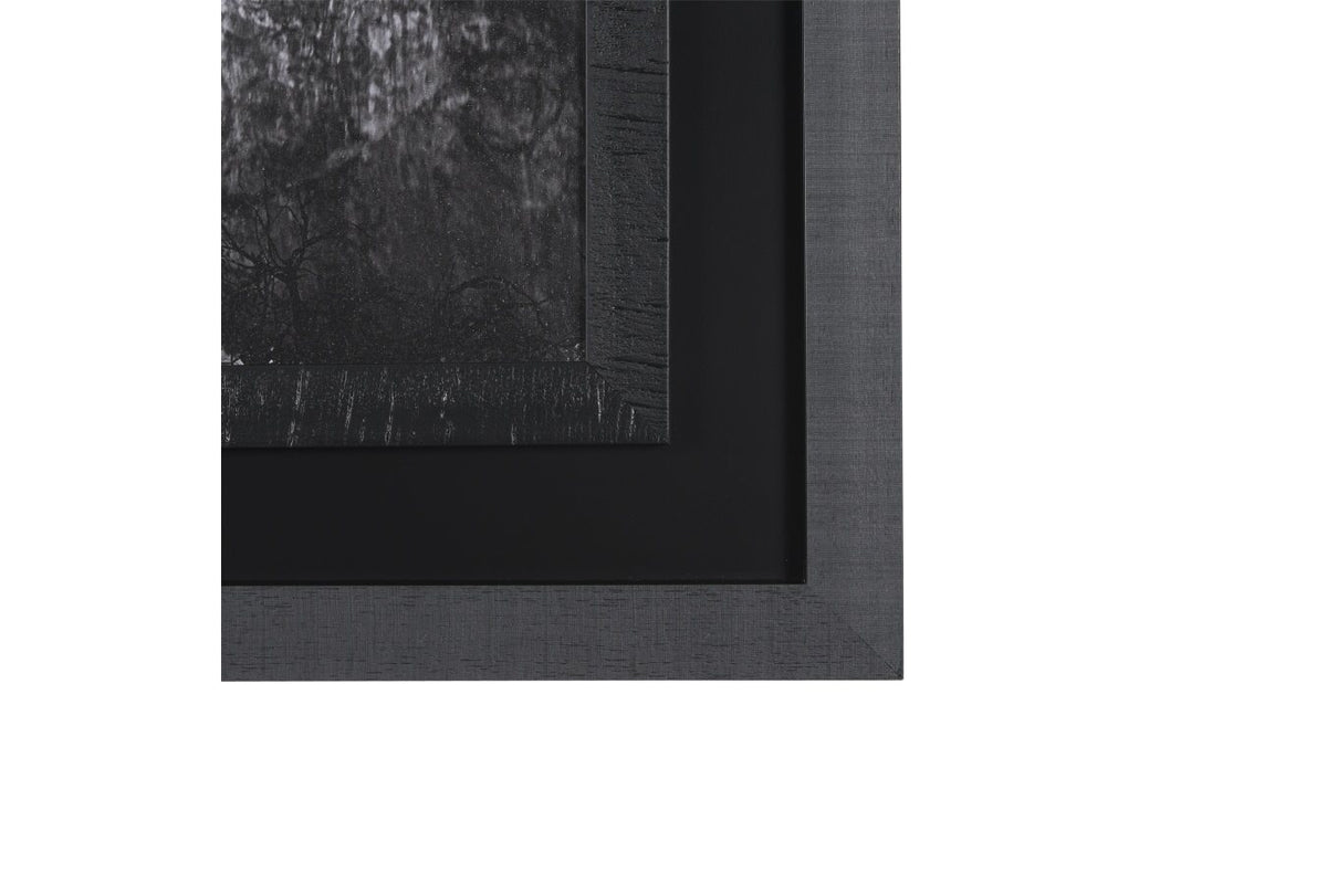 Mirror View Framed Art