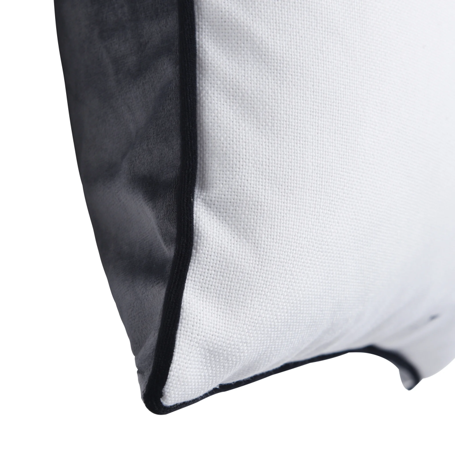 Einstein Quote Print & Gray Velvet Pillow